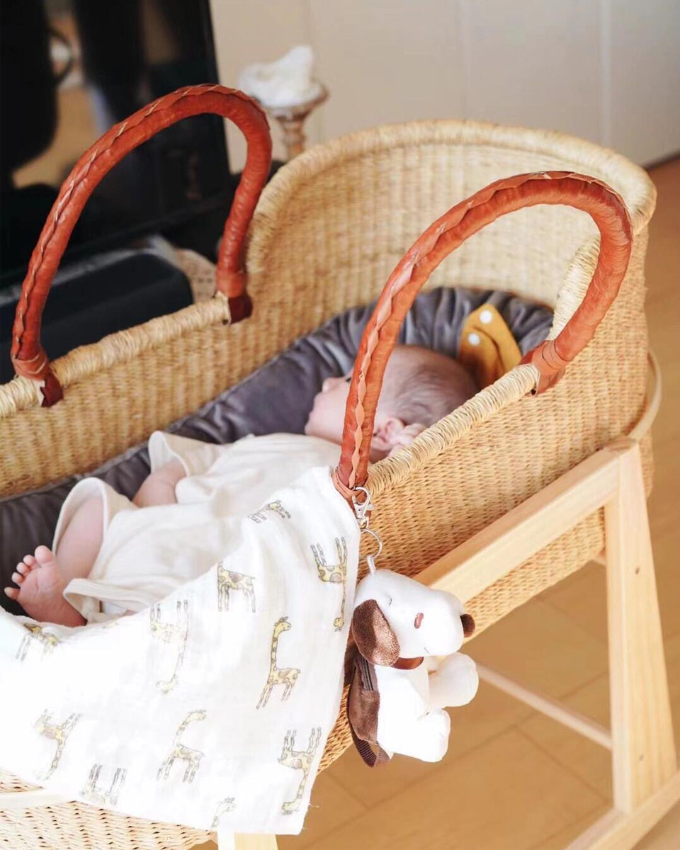 moses basket baby