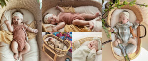 Moses' basket