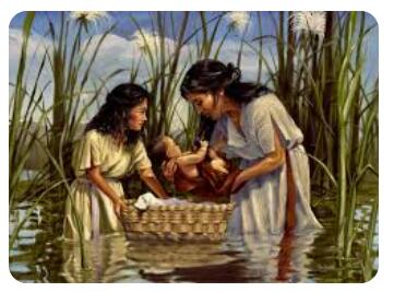 papyrus moses basket