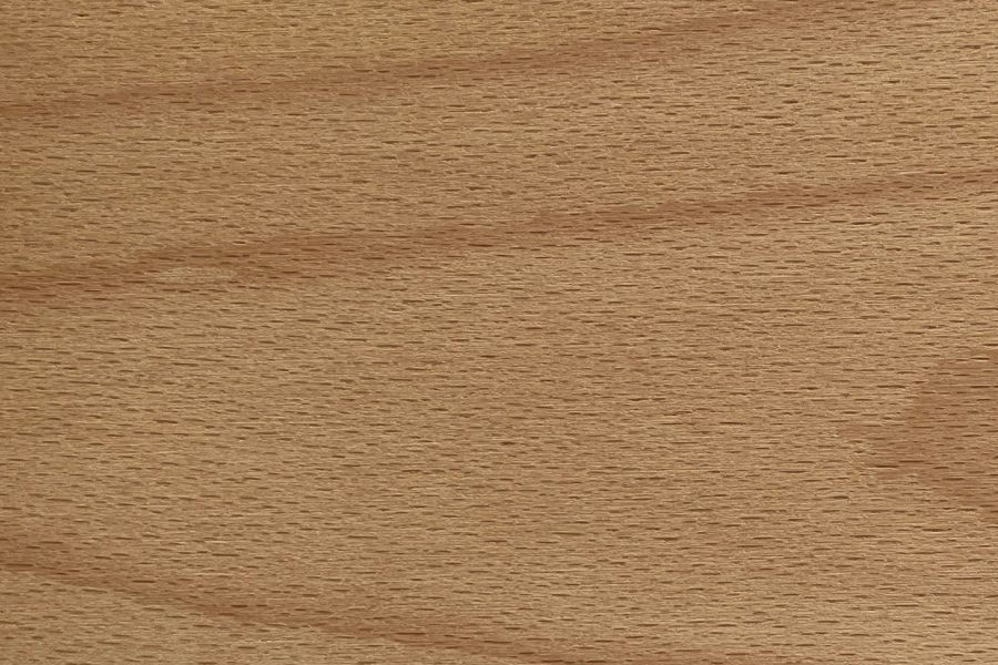 A microscopic view showing the dense, closed-grain structure of beechwood.